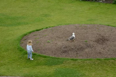 DSC_2538 (Large).JPG